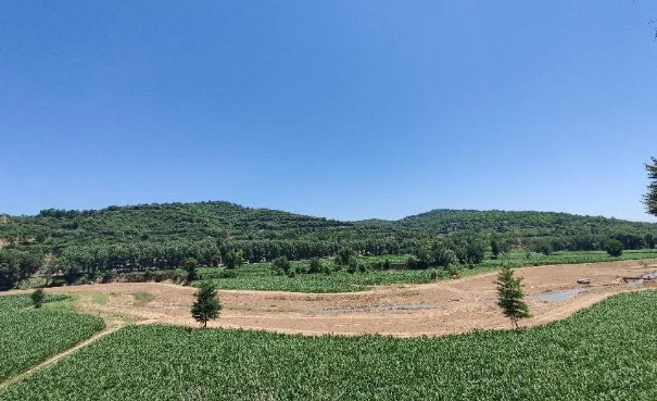 市產(chǎn)投集團上半年項目建設(shè)進展順利(圖12) 市產(chǎn)投集團上半年項目建設(shè)進展順利(圖12)