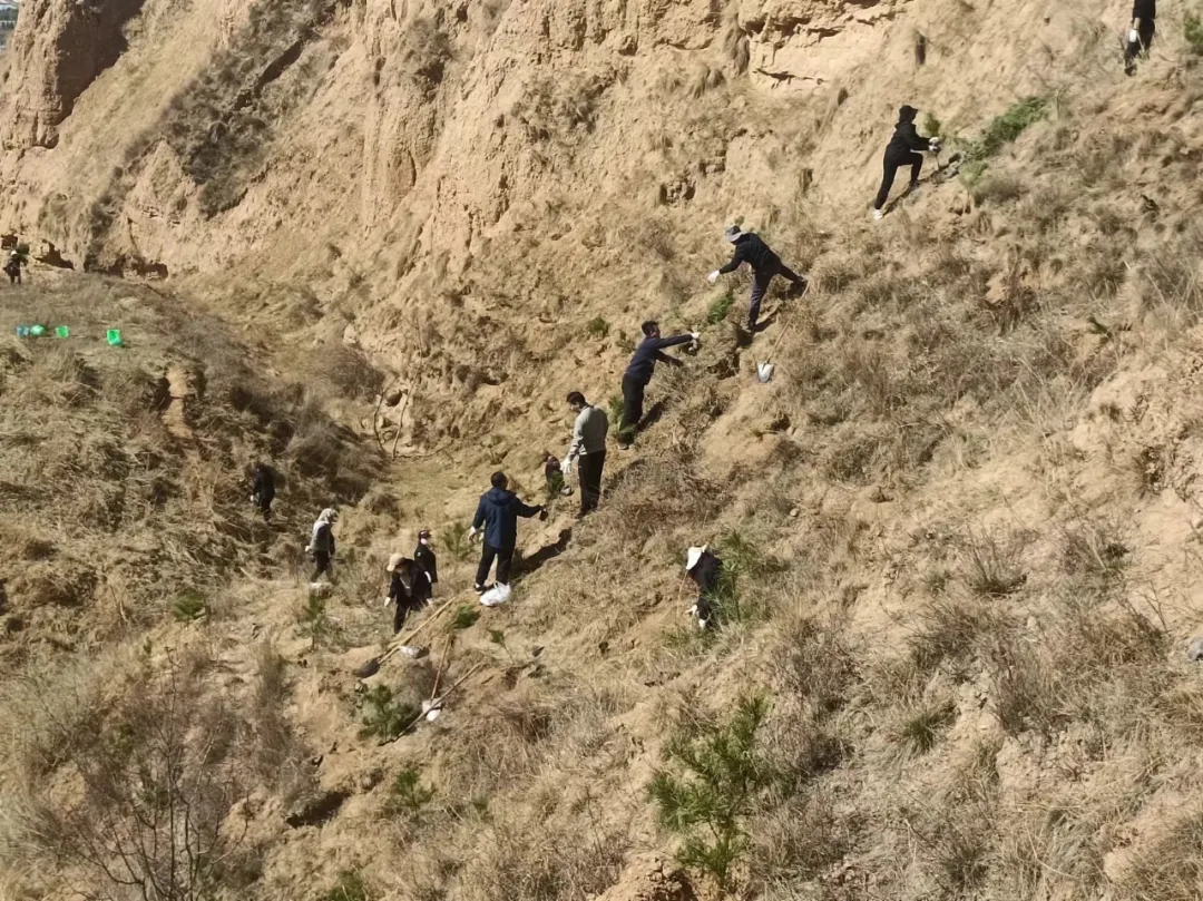 市產(chǎn)投集團(tuán)開展義務(wù)植樹活動(圖2) 市產(chǎn)投集團(tuán)開展義務(wù)植樹活動(圖2)